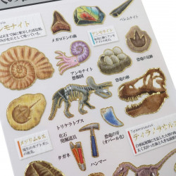 « Fossiles » Otonano-Zukan autocollants en papier