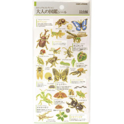 « Insectes » Otonano-Zukan autocollants en papier