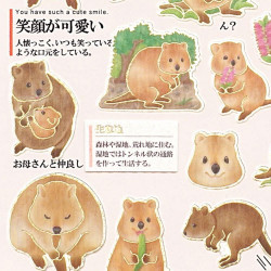 « Quokka / Wallaby » Otonano-Zukan autocollants en papier