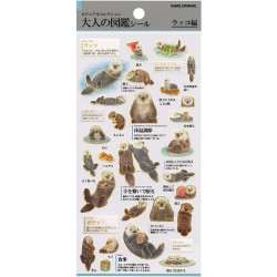 'Sea otters' Otonano-Zukan Paper stickers