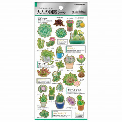 'Succulents' Otonano-Zukan Paper stickers