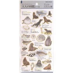 'Sea lions and seals' Otonano-Zukan Paper stickers