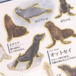 'Sea lions and seals' Otonano-Zukan Paper stickers
