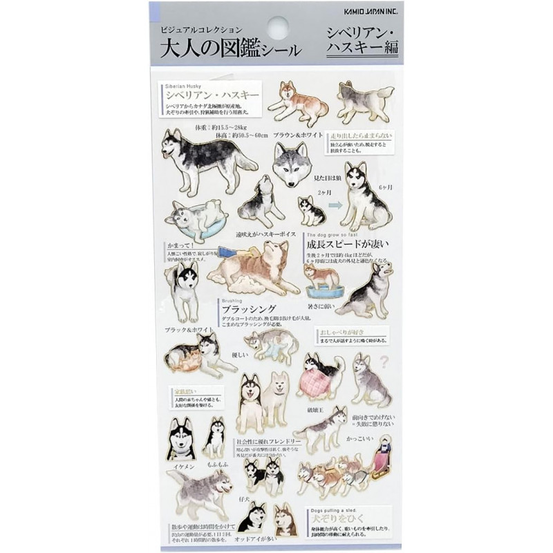 'Siberian Husky' Otonano-Zukan Paper stickers