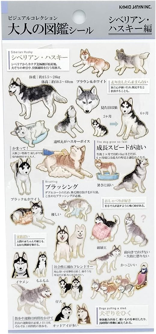 Siberian Husky' Otonano-Zukan Paper stickers