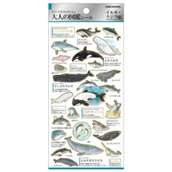 « Dauphins et baleines » Otonano-Zukan autocollants en papier