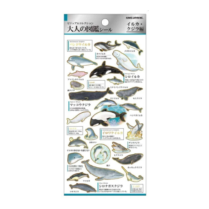 'Delfine und Wale' Otonano-Zukan Papier Aufkleber