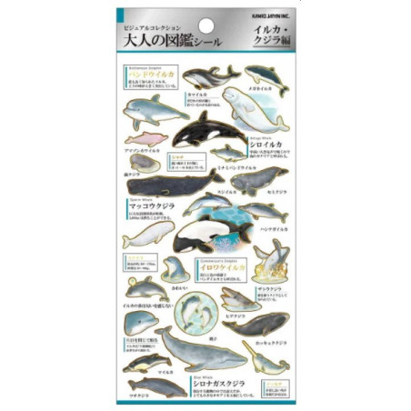'Dolphins and whales' Otonano-Zukan Paper stickers