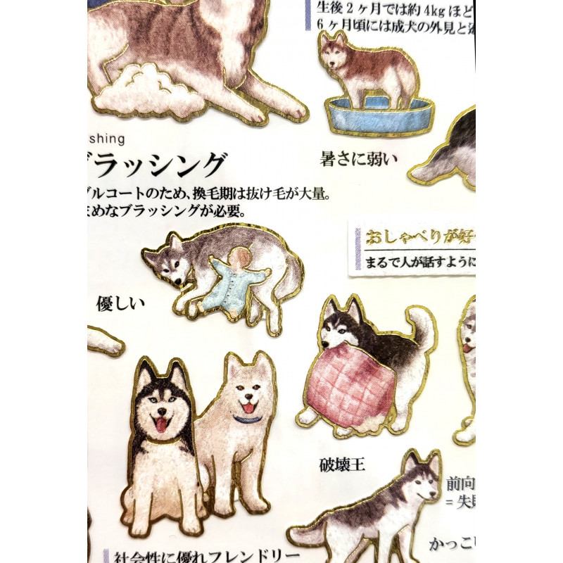 Siberian Husky' Otonano-Zukan Paper stickers