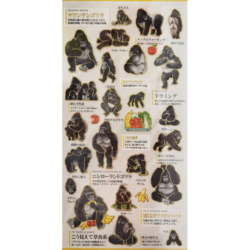 Gorillas' Otonano-Zukan Paper stickers