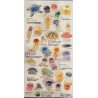 'Jellyfish' Otonano-Zukan Paper stickers