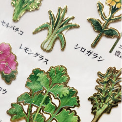 'Herbs' Otonano-Zukan Paper stickers