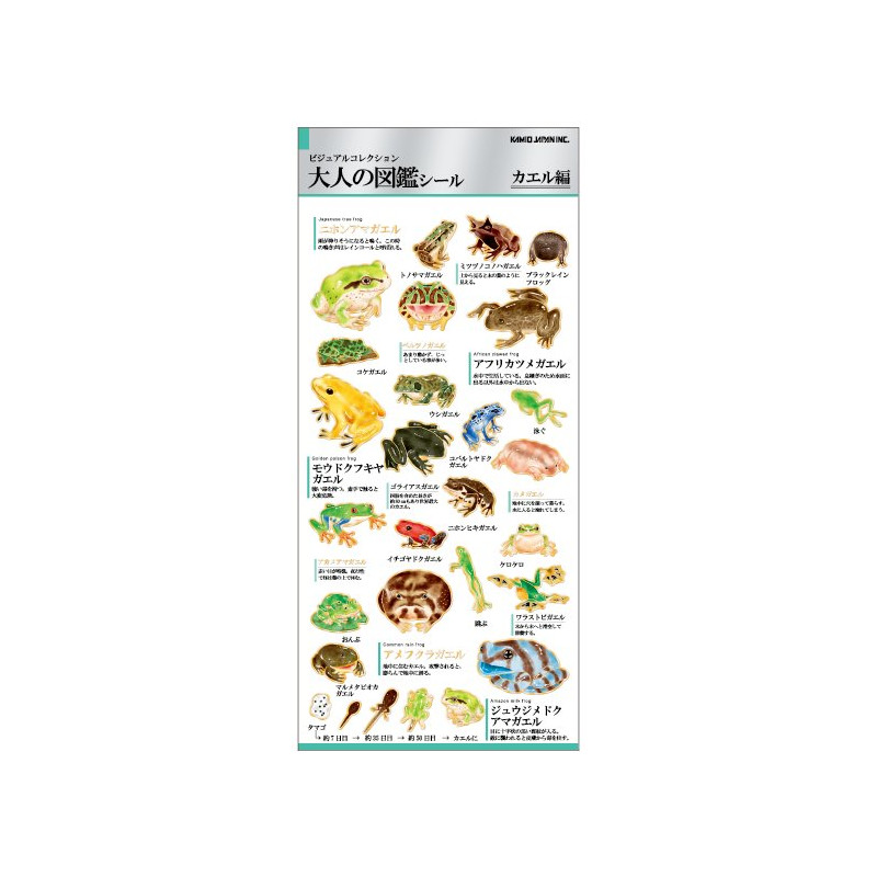 'Frogs' Otonano-Zukan Paper stickers