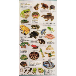 'Frogs' Otonano-Zukan Paper stickers