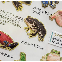 'Frogs' Otonano-Zukan Paper stickers