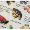 'Frogs' Otonano-Zukan Paper stickers