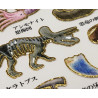 'Fossils' Otonano-Zukan Paper stickers