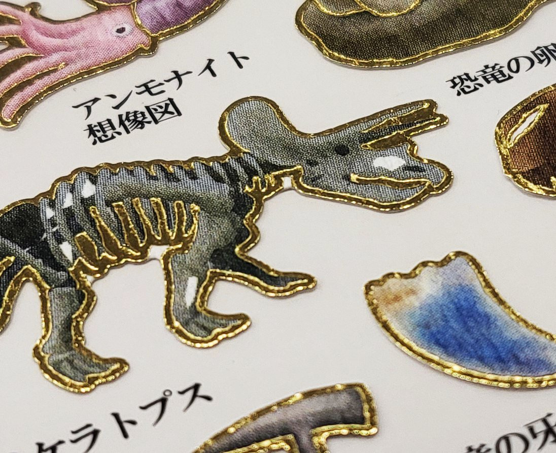 パラドクシア・エピデミカ ルネサンスにおけるパラドックスの伝統 パラドクシア・エピデミカ ― ルネサンスにおけるパラドックスの