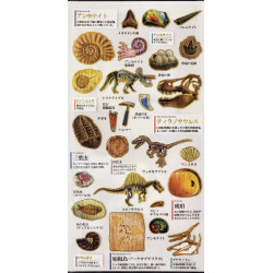 'Fossils' Otonano-Zukan Paper stickers