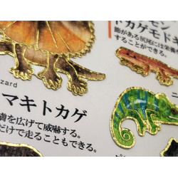 « Reptiles » Otonano-Zukan autocollants en papier