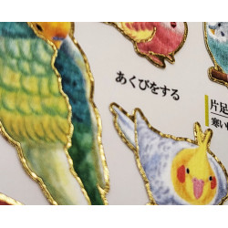 'A parrot's feelings' Otonano-Zukan Paper stickers