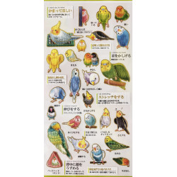 'A parrot's feelings' Otonano-Zukan Paper stickers