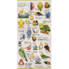 'A parrot's feelings' Otonano-Zukan Paper stickers