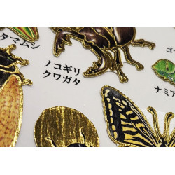 'Insects' Otonano-Zukan Paper stickers