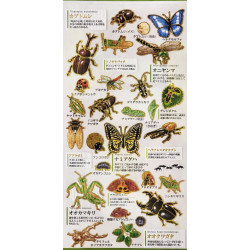 'Insects' Otonano-Zukan Paper stickers