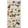 'Insects' Otonano-Zukan Paper stickers