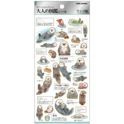 'Sea otters' Otonano-Zukan Paper stickers