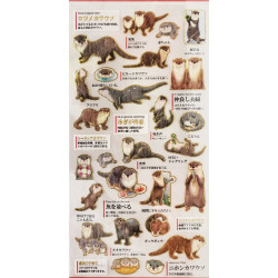 'Otters' Otonano-Zukan Paper stickers