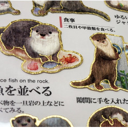 'Otter' Otonano-Zukan Papier Aufkleber