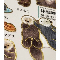 'Sea otters' Otonano-Zukan Paper stickers