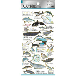 'Dolphins and whales' Otonano-Zukan Paper stickers