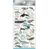 'Dolphins and whales' Otonano-Zukan Paper stickers