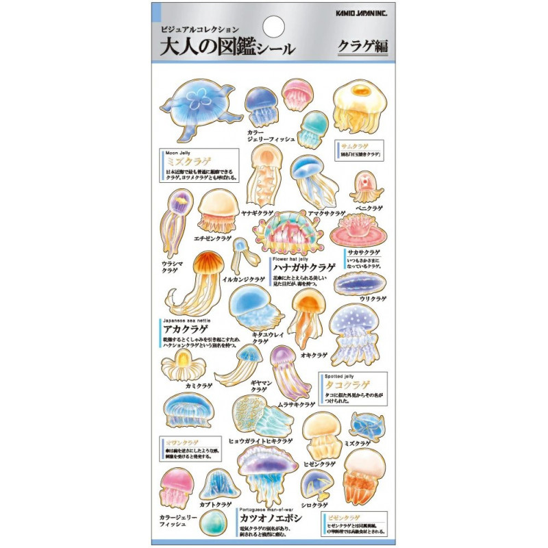 'Jellyfish' Otonano-Zukan Paper stickers