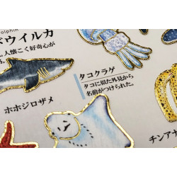 'Marine life' Otonano-Zukan Paper stickers