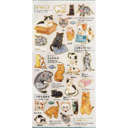 'A cat's feelings' Otonano-Zukan Paper stickers