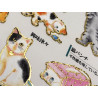 'A cat's feelings' Otonano-Zukan Paper stickers