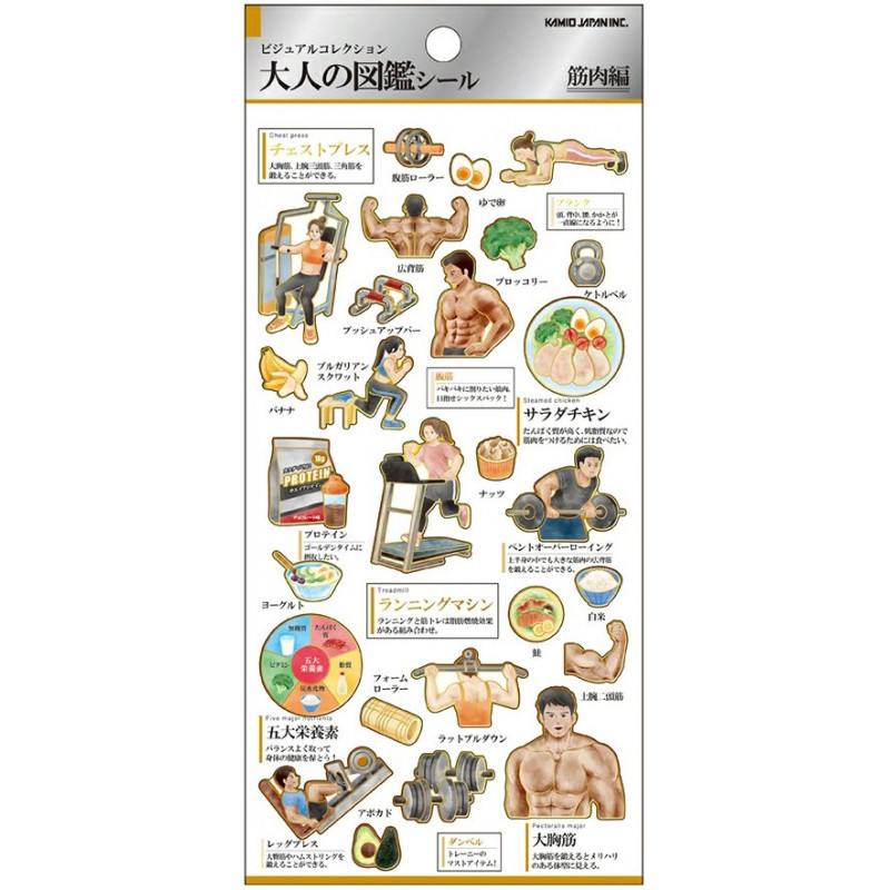'Muscular Fitness' Otonano-Zukan Paper stickers