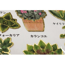 « Succulentes » Otonano-Zukan autocollants en papier