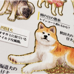 « chiens japonais » Otonano-Zukan autocollants en papier