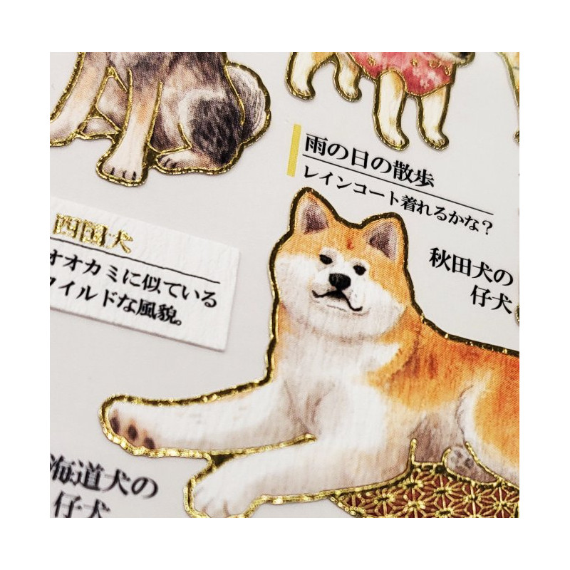 Japanese dogs' Otonano-Zukan Paper stickers