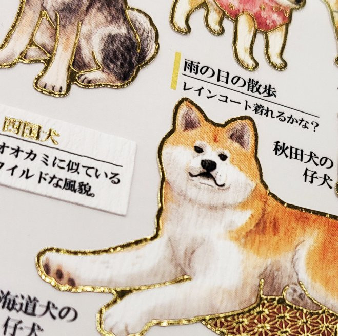 Japanese dogs' Otonano-Zukan Paper stickers