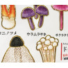 'Mushrooms' Otonano-Zukan Paper stickers