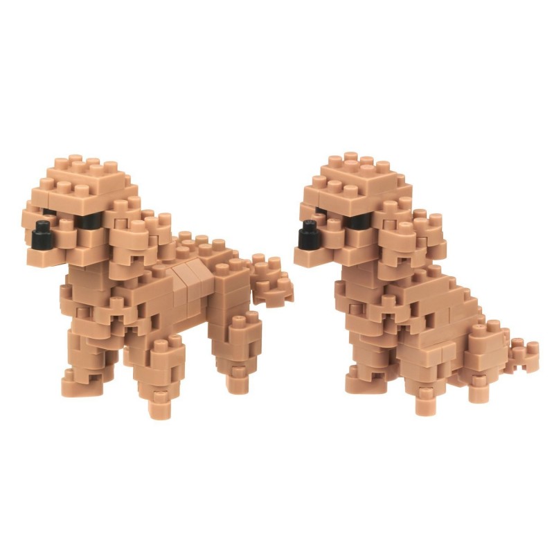 are japanese toy poodles a breed