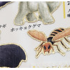 'Dangerous creatures' Otonano-Zukan Paper stickers