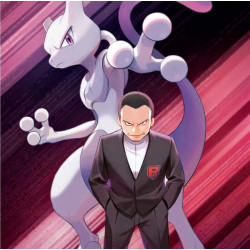 [en allemand] colléction Team Rocket Mewtu ex  - Cartes Pokémon