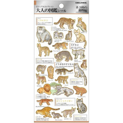 'Felidae (cats)' Otonano-Zukan Paper stickers